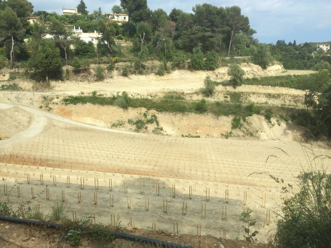 New vineyards at Château de Bellet