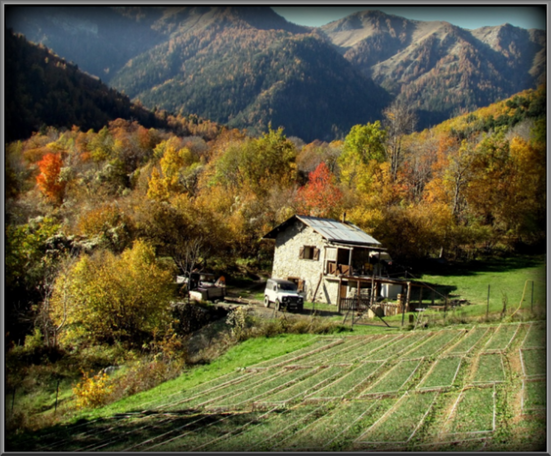 La Cabane Safran