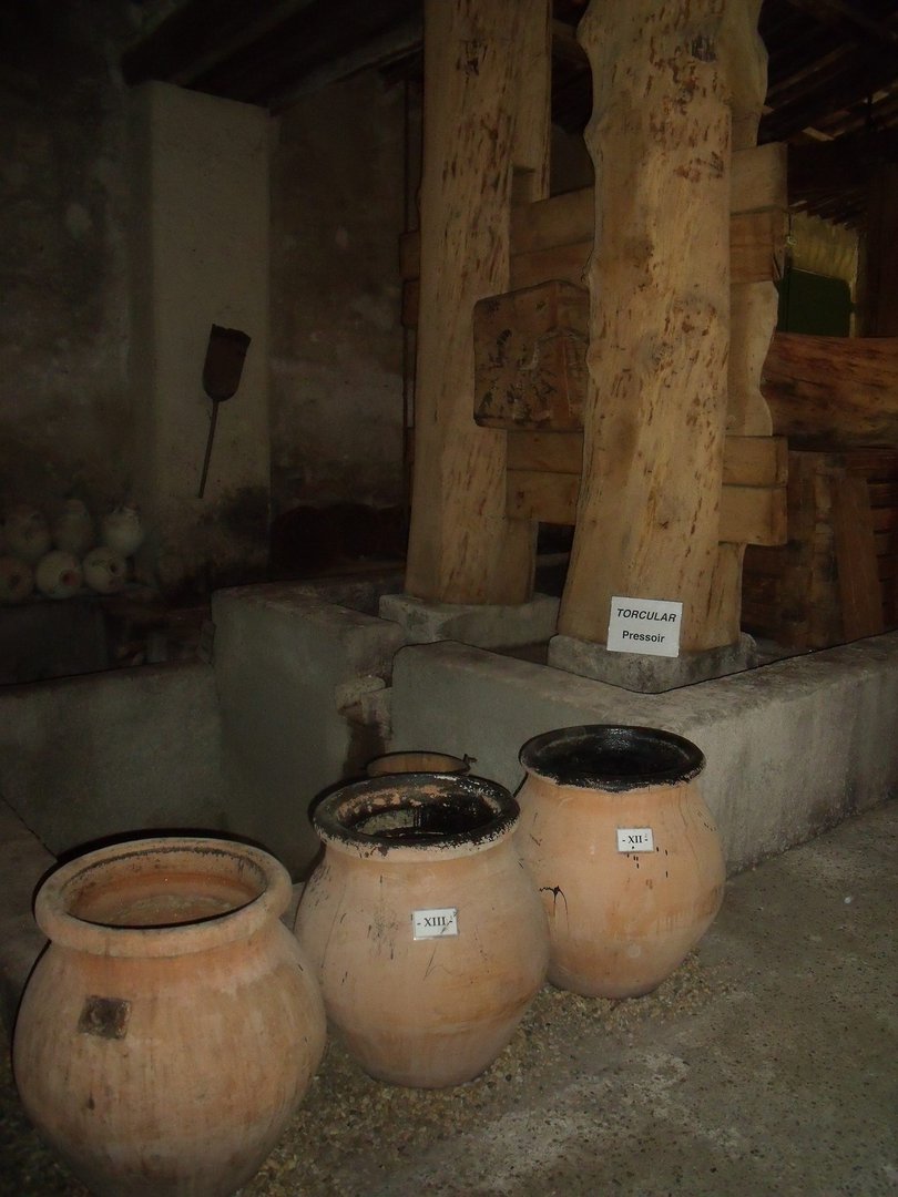 Roman press and amphorae at Mas de Tourelles
