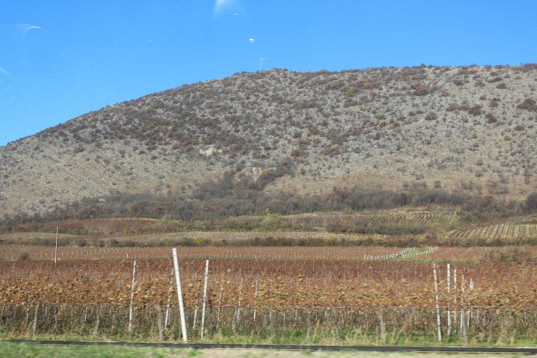 The hill of Siklós