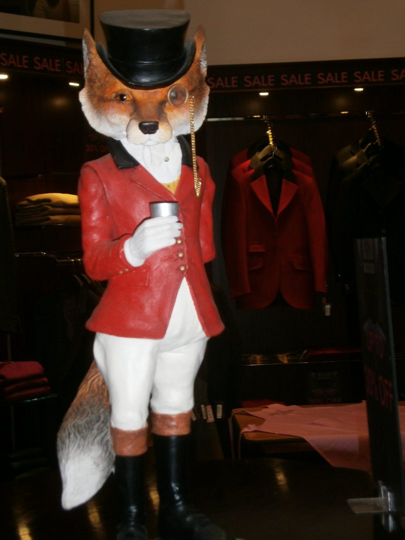Fox in the red hunting jacket known as a Pink jacket after the tailor 