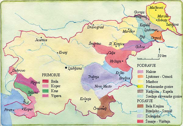Map of Slovenian Wine Regions