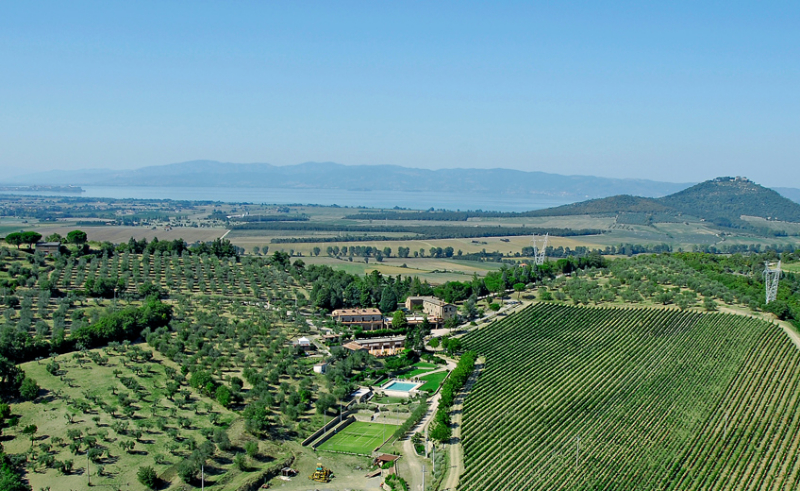 Trasimeno Gamay